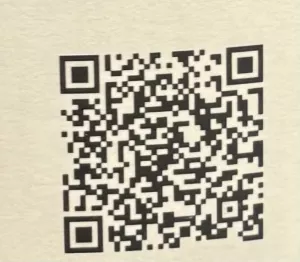 bs3021