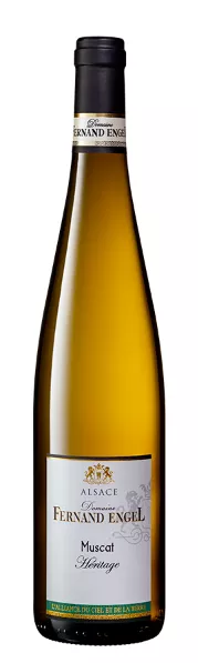 Fernand Engel - Muscat 2021