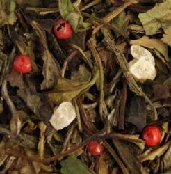 kt0012