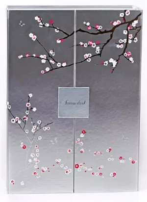 Summerbird - Èdition Noël