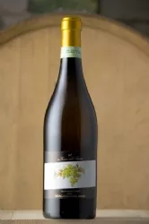 vg0046