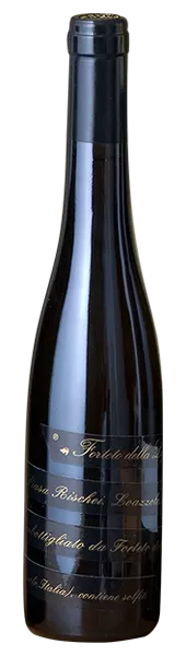 vgfdl02
